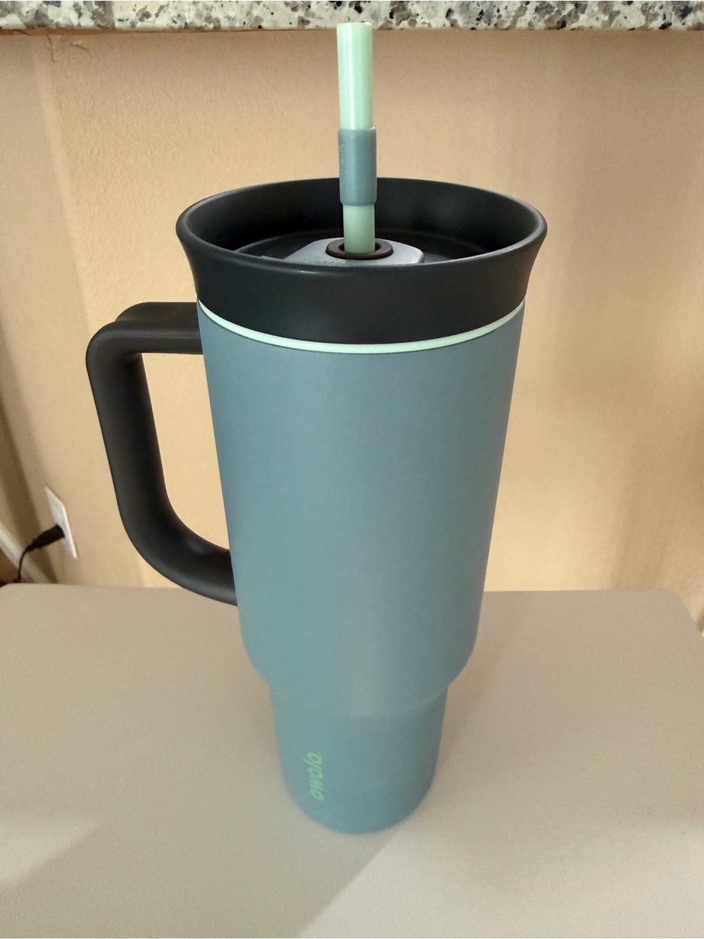 Owala Stainless Steel Insulated 40 oz Tumbler in Lost Valley